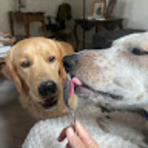 Meet your Posher, Irene